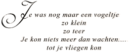 Gedicht: Je was nog maar een vogeltje zo klein zo teer. Je kon niets meer dan wachten.... tot je vliegen kon